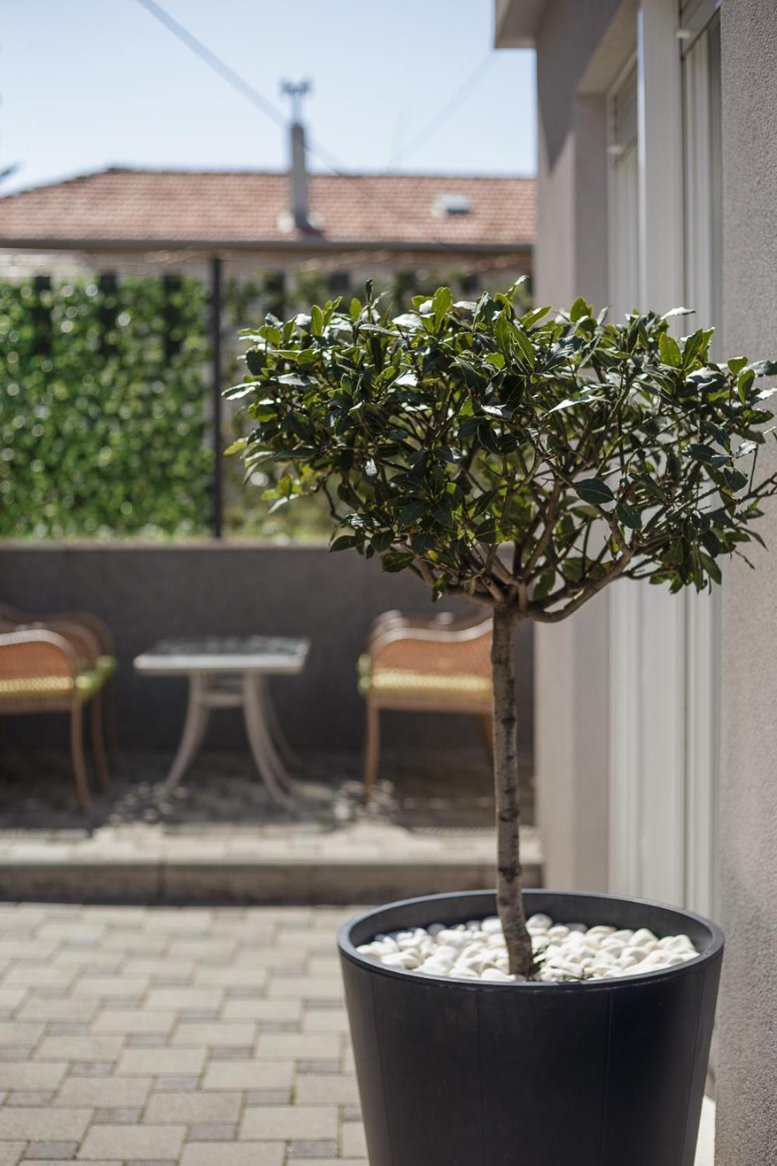 Holiday Home Aspalathos - With Free Parking, Near The Beach, A Few Minutes' Walking Distance To The Unesco Palace Split Exteriör bild